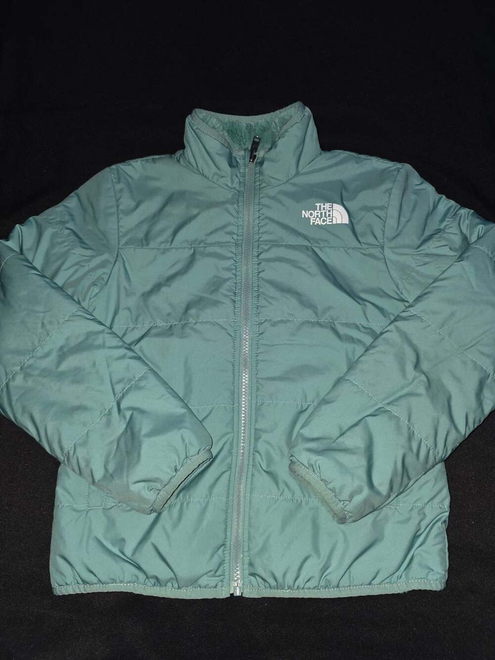The North Face Teen Girls Reversible Mossbud Swirl Insulated Jacket Size M (10)